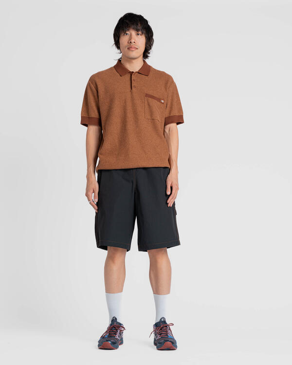Dickies WILSALL CARPENTER SHORT | DK0A4Z7XBLK1 | AFEW STORE